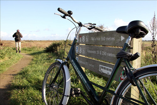 Decorative Photo of a Bicycle