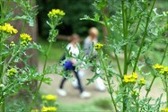 Decorative image of yellow flowers