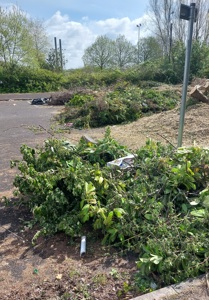 An empty lot with tree clippings left across the ground.