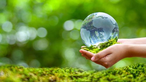 Hands holding a small replica of the Earth. Underneath the hands is a strip of moss. The background is blurred, but made up of shades of green.