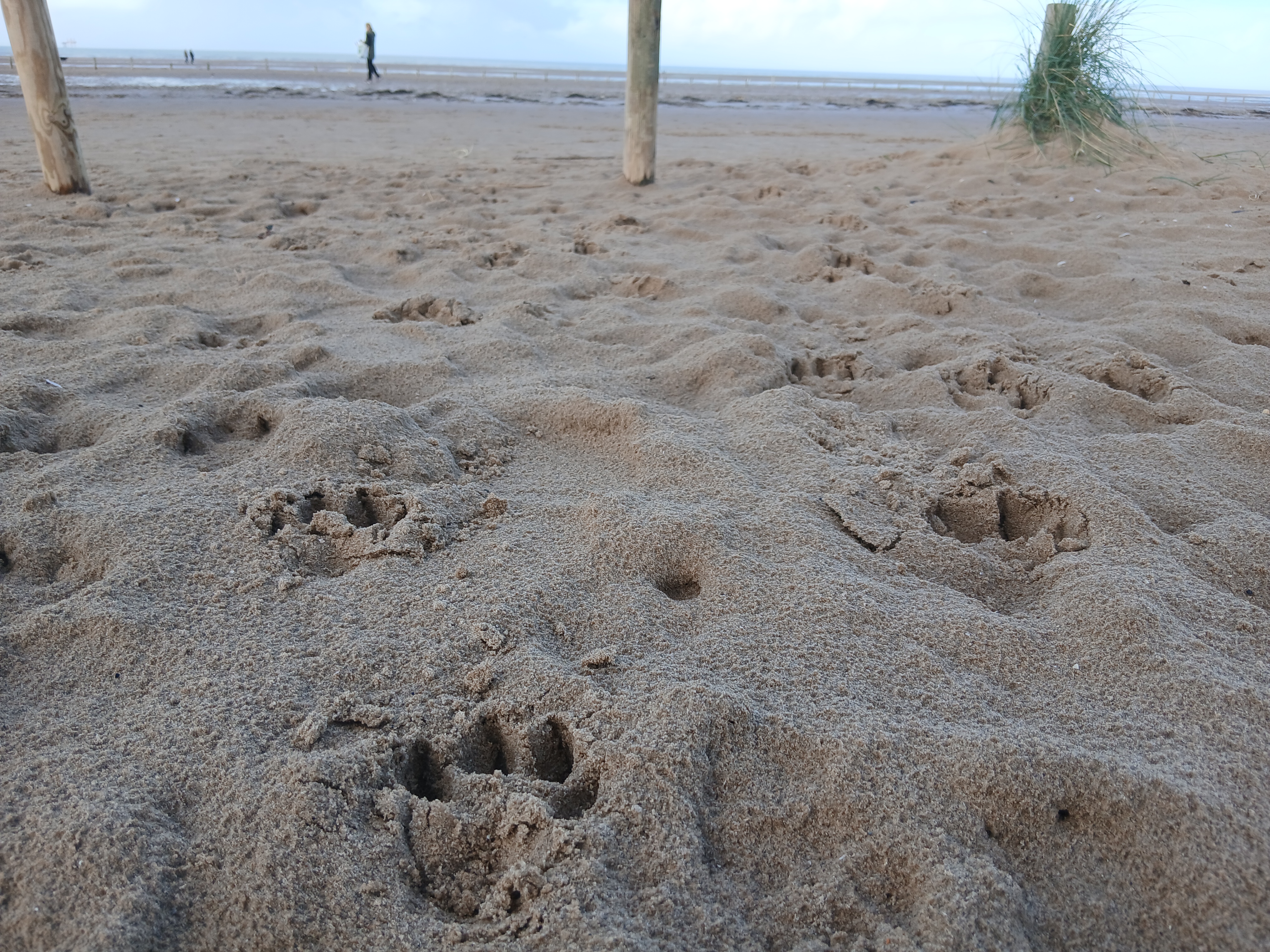Explore our Nature Reserves 